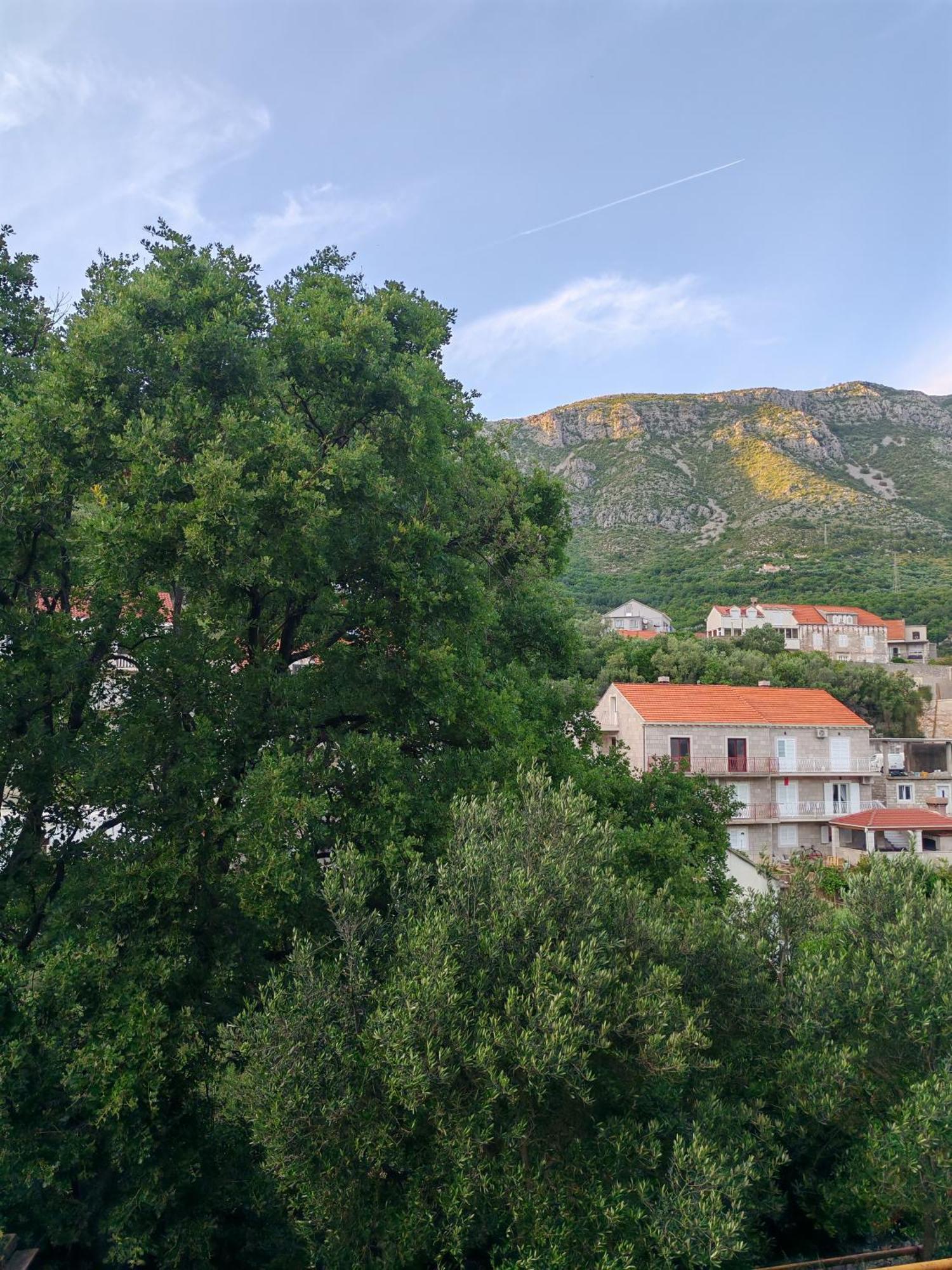 Apartment Oscar Mokošica Rum bild
